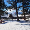 Day 19 – Jasper – 50 Shades of White
