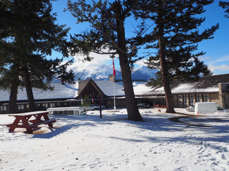 Day 19 – Jasper – 50 Shades of White