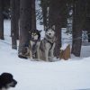 Day 22 – Banff