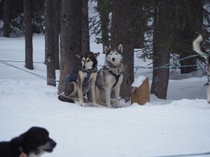 Day 22 – Banff