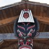 Day 11 – Vancouver Island Alert Bay – 01 14